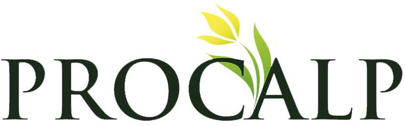 Logo PROCALP